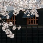masu/ます & masen/ません : How and when to use it