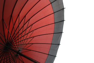 How to make negative sentences in Japanese using "nai/ない"