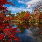 The Rules of Japanese Nouns